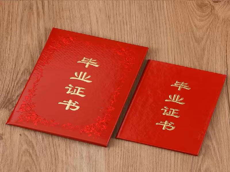 证件遗失补办替代