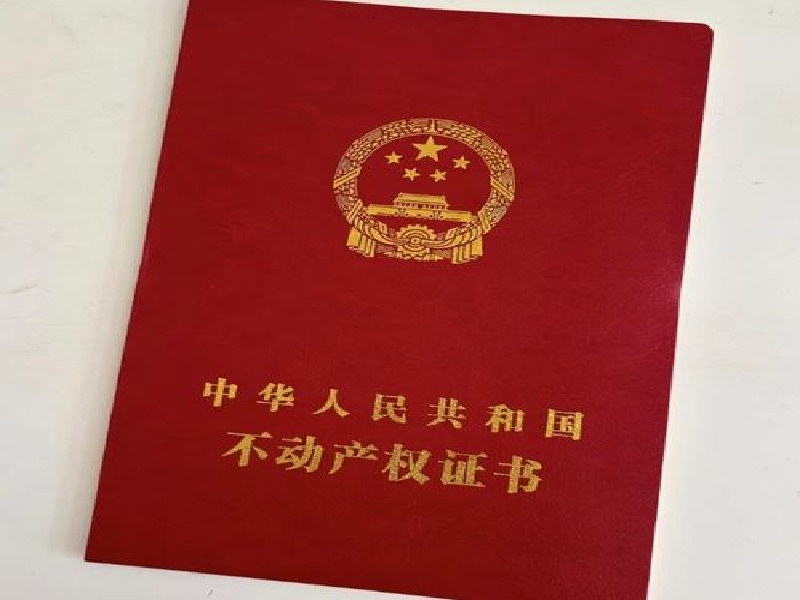 整套证件定制为什么比单件制作更省心